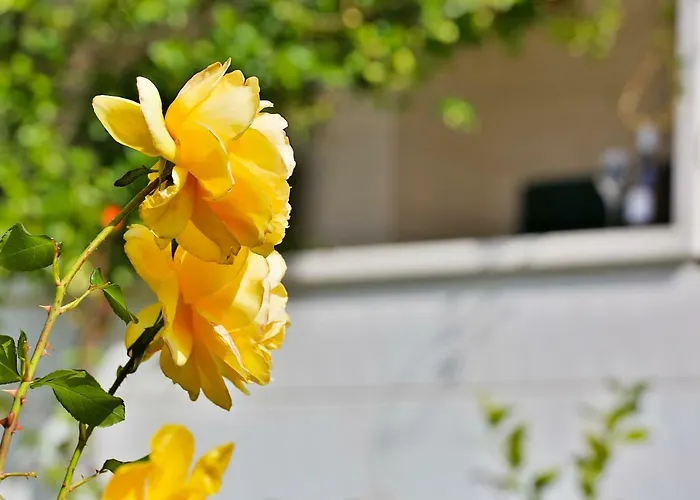 Apartamento Stipic 1