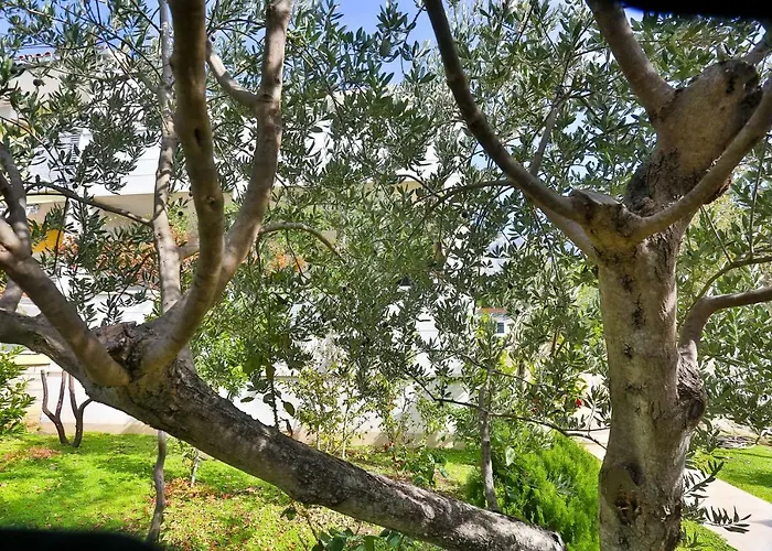 Apartamento Stipic 1 Baška Voda